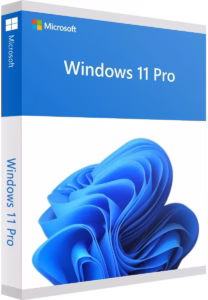 Microsoft Windows 11 Pro
